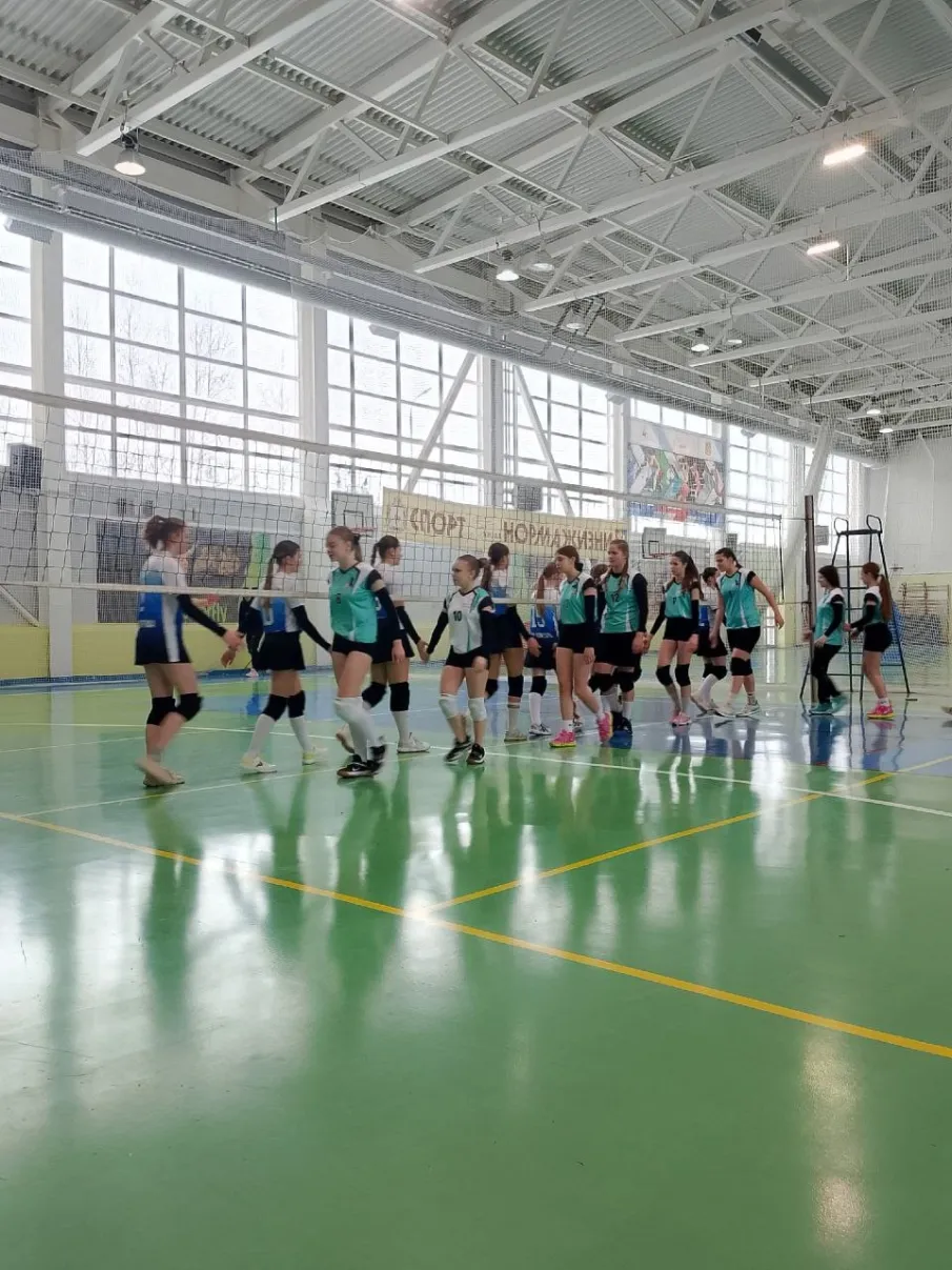 ВОЛЕЙБОЛ